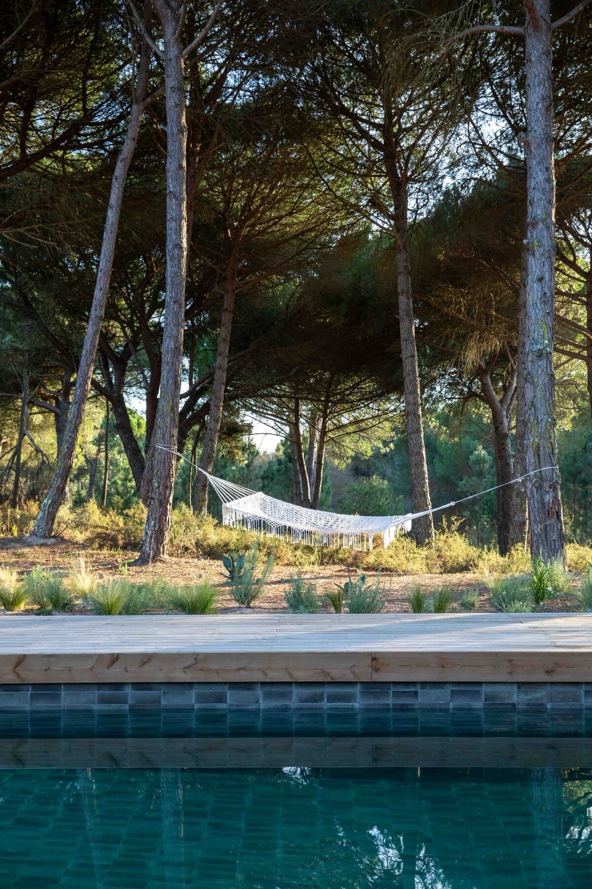 The heated lap pool