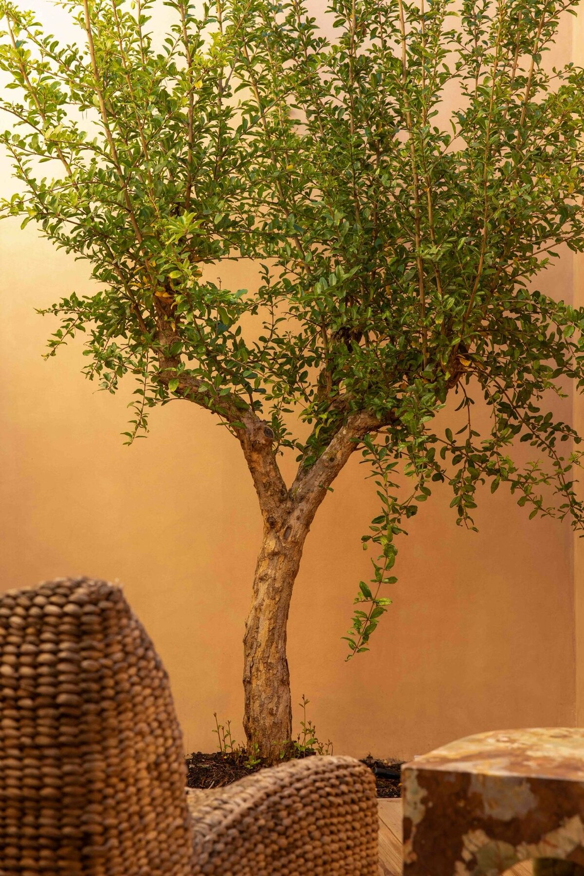 Earth tones and raw materials
