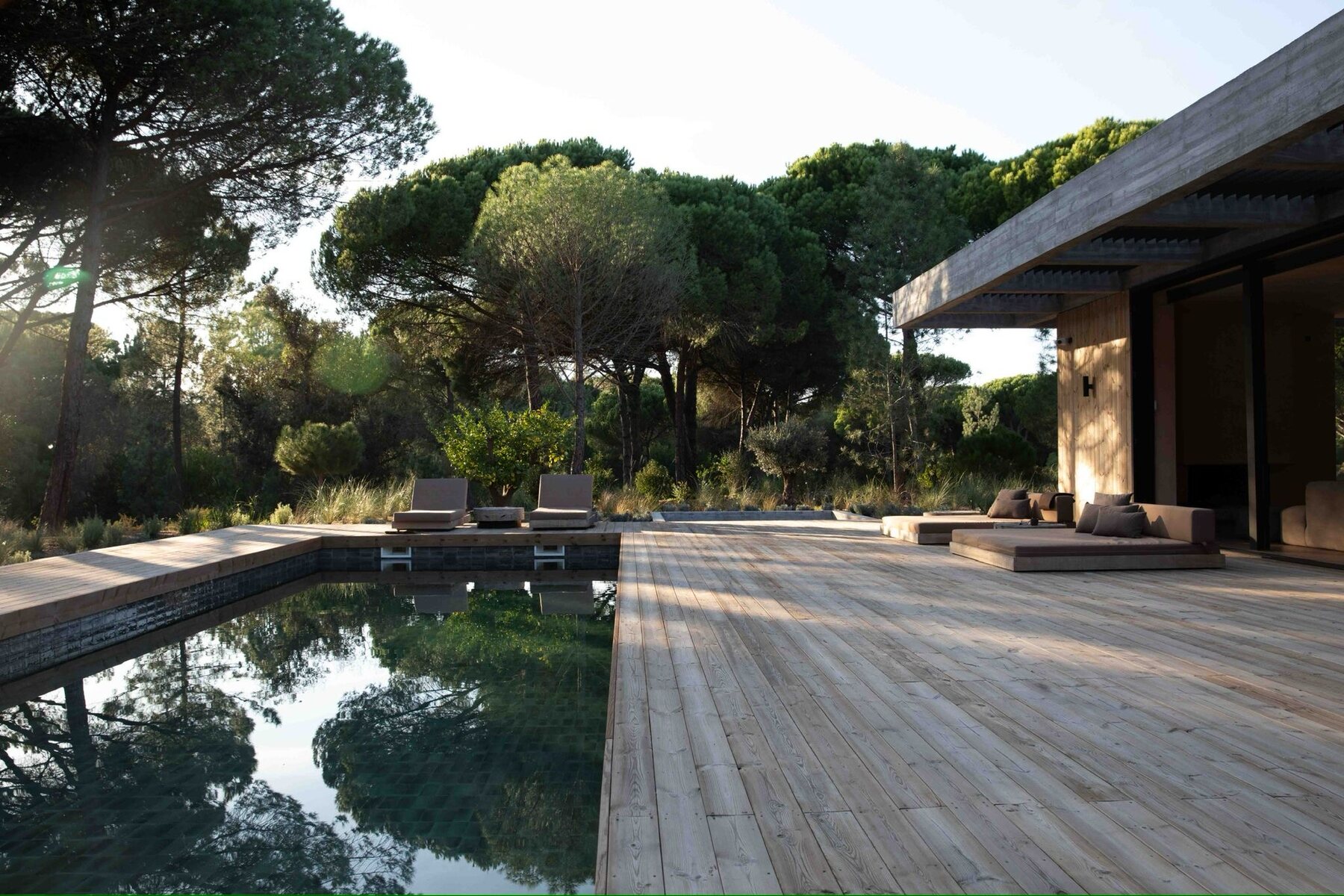 The residence held in the pines